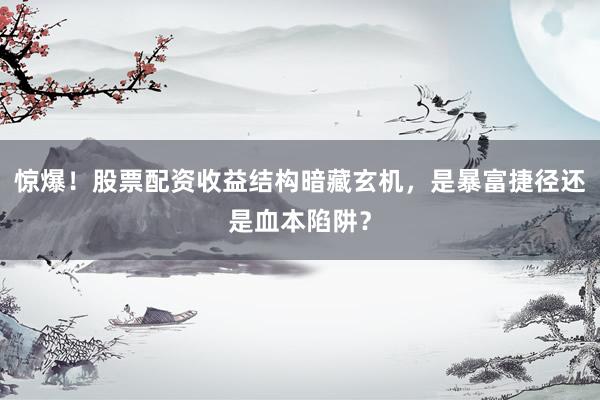 惊爆！股票配资收益结构暗藏玄机，是暴富捷径还是血本陷阱？