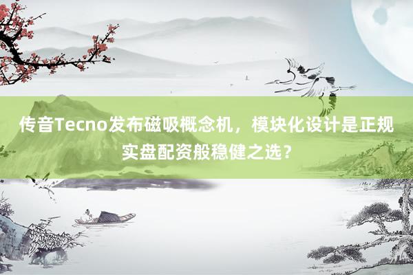 传音Tecno发布磁吸概念机，模块化设计是正规实盘配资般稳健之选？